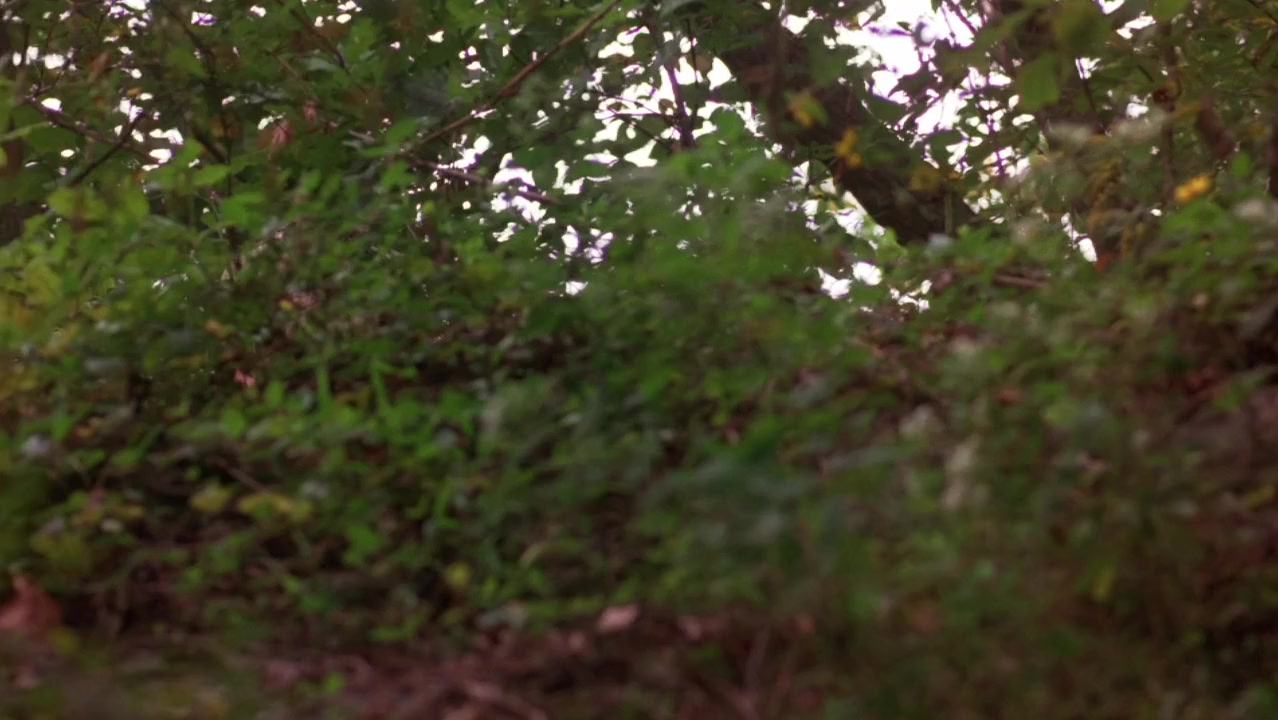 Fire Down Below screenshot 1