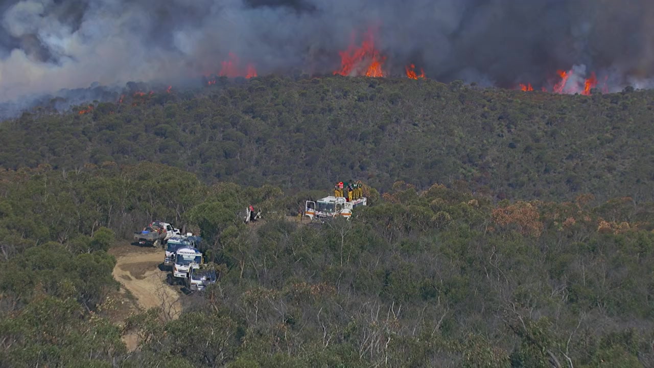 Fire Front screenshot 2