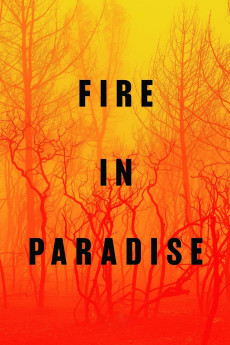 Fire in Paradise (2019) poster
