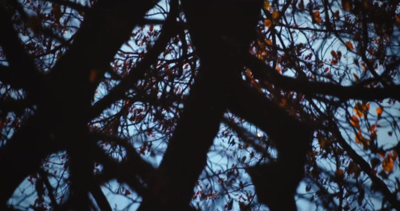 Fire in Paradise screenshot 2