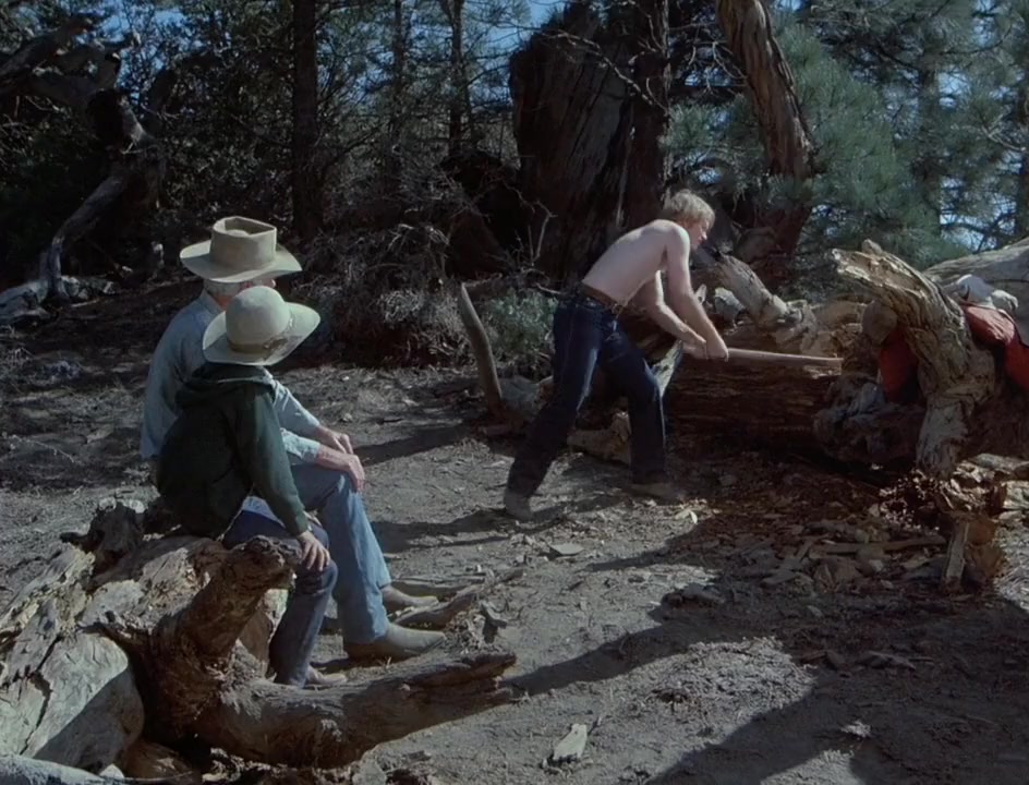 Fire on the Mountain screenshot 1
