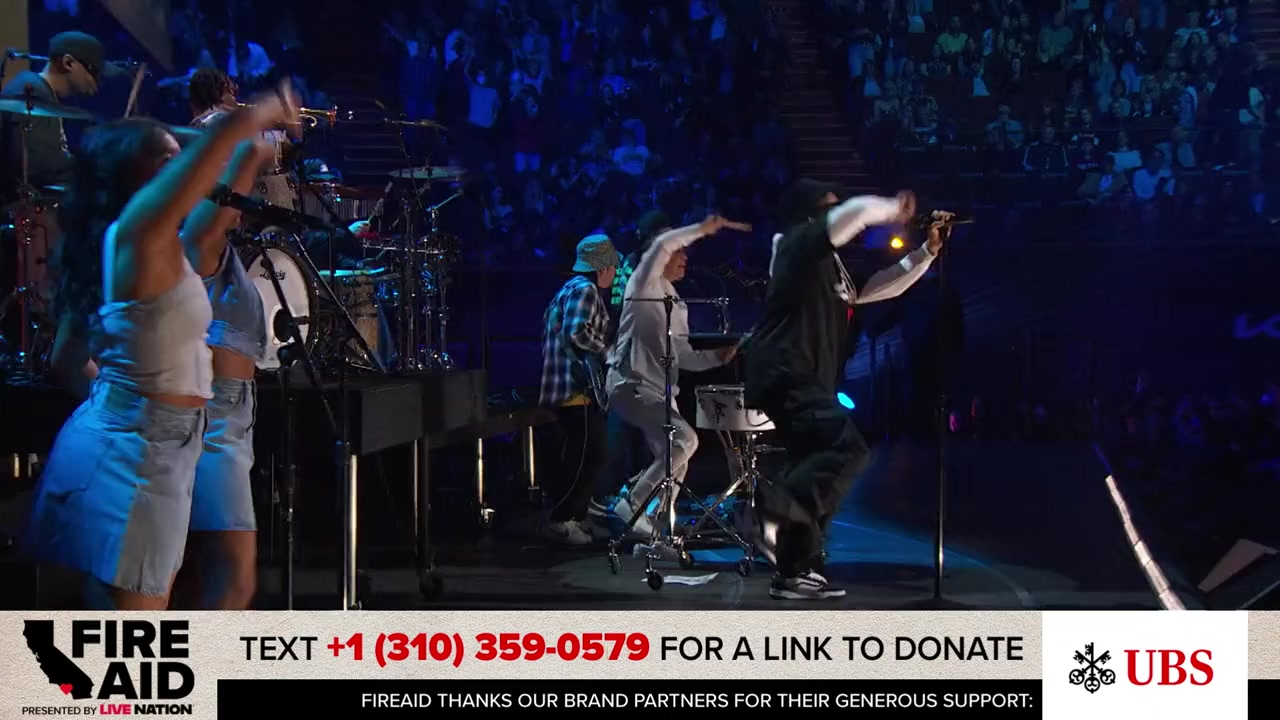FireAid Benefit Concert screenshot 3