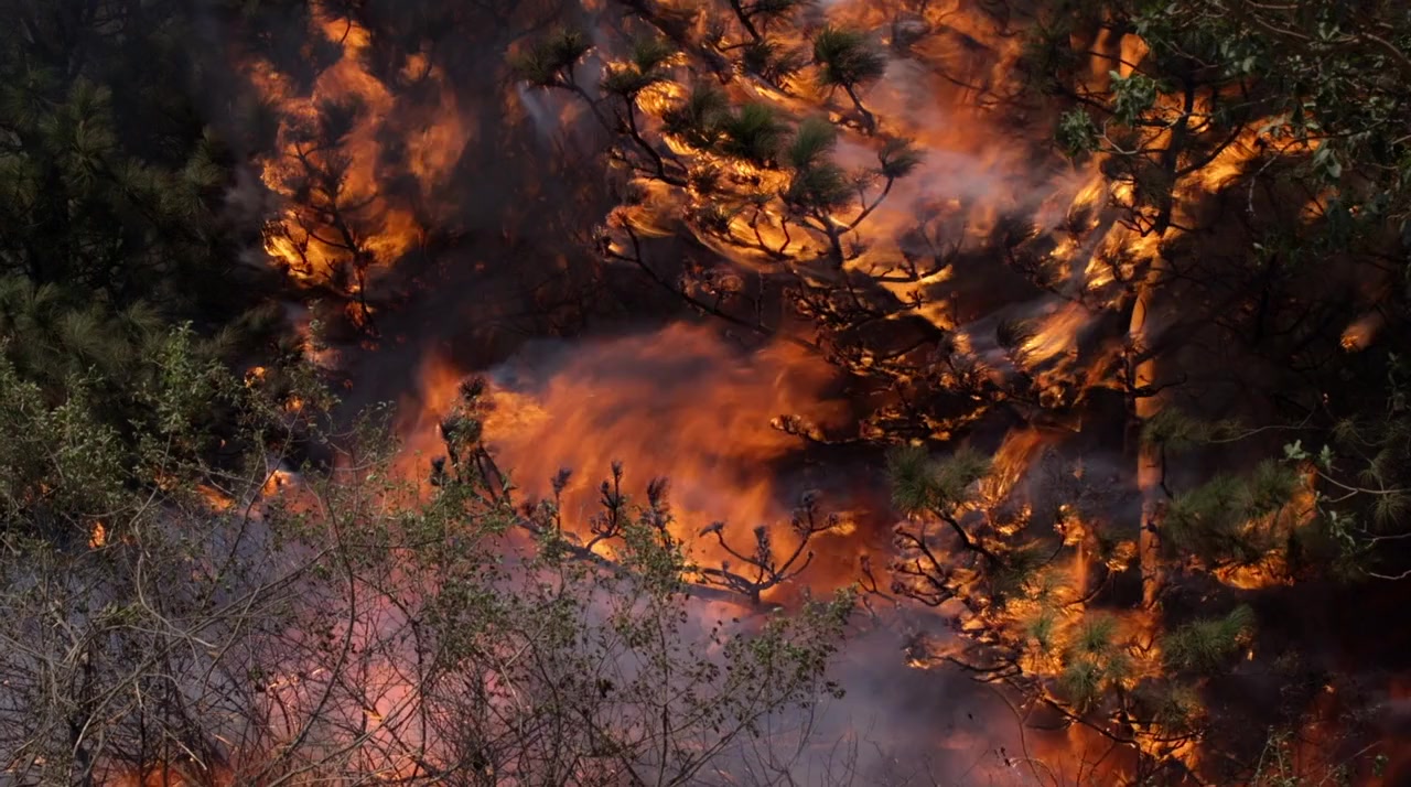 Fireboys screenshot 1