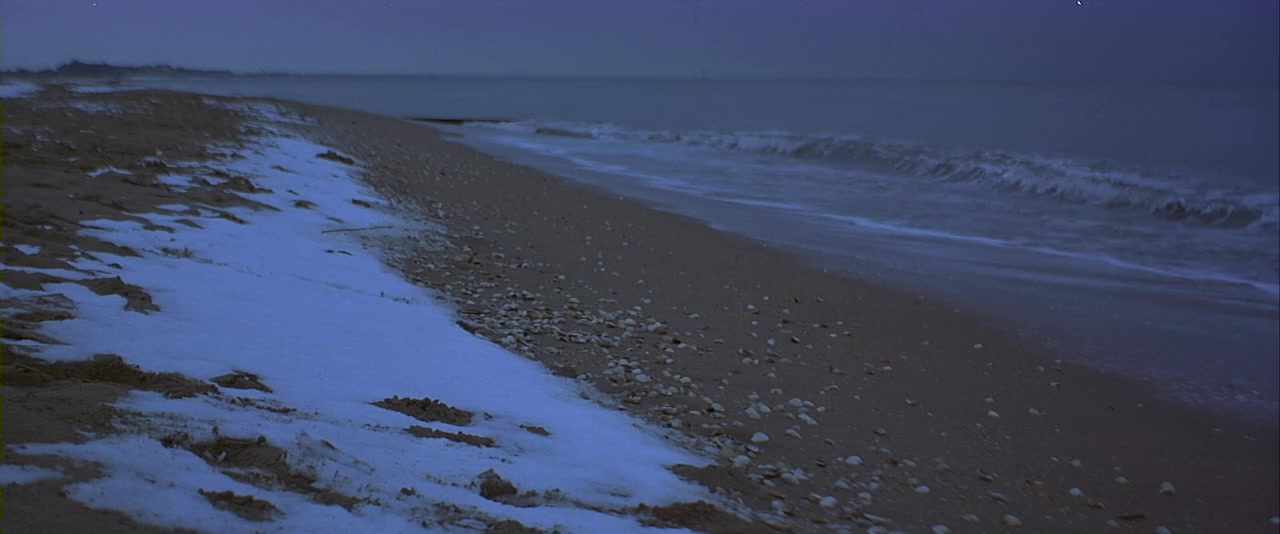 Firelight screenshot 1