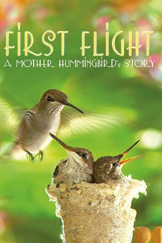 First Flight: A Mother Hummingbird's Story (2009) poster