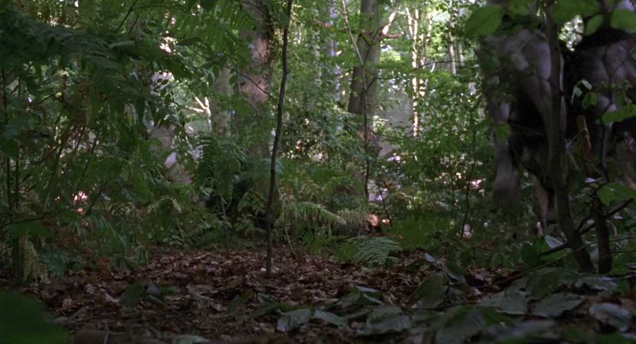 First Knight screenshot 3