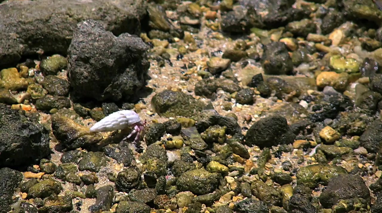 Fish School 2 screenshot 2