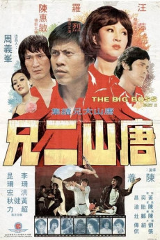 The Big Boss Part II (1976) poster