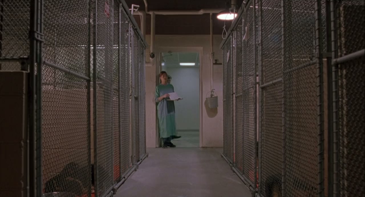 Fluke screenshot 1