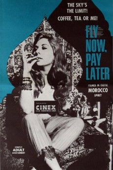 Fly Now, Pay Later (1969) poster