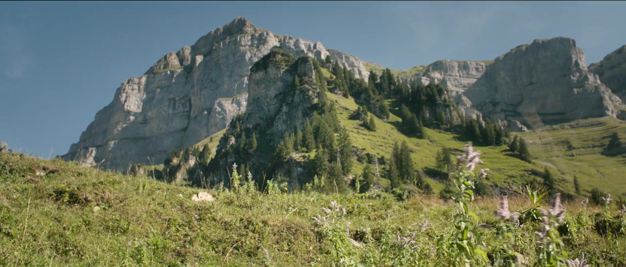 Fly screenshot 1