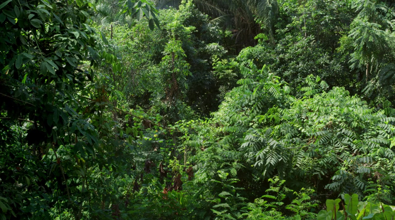 Flying Monsters 3D with David Attenborough screenshot 1