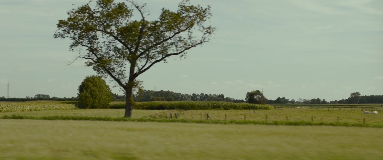 Flying Home screenshot 2