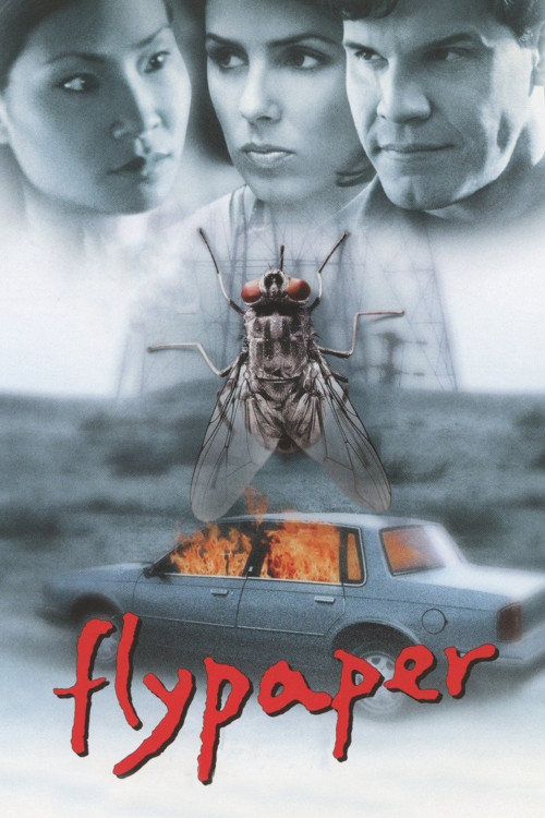 Flypaper (1999) poster
