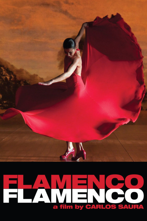 Flamenco Flamenco (2010) poster