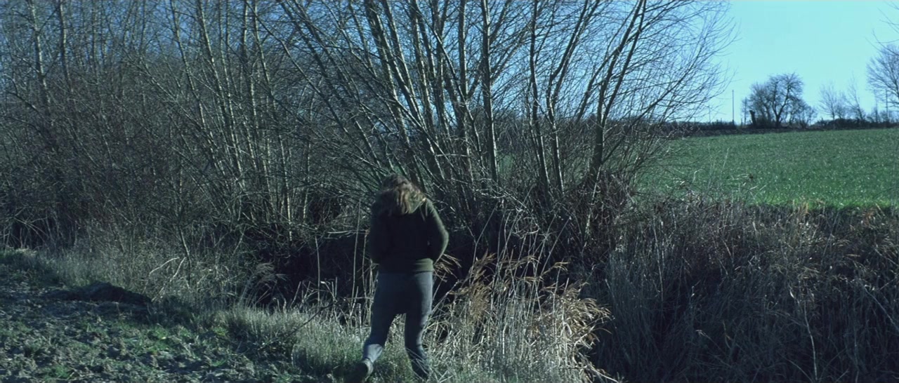 Flandres screenshot 1