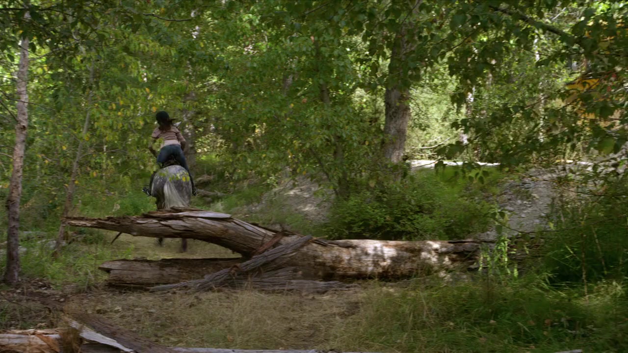Flicka: Country Pride screenshot 1