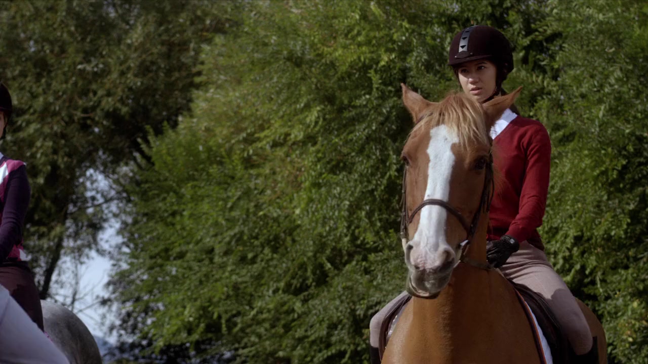 Flicka: Country Pride screenshot 2