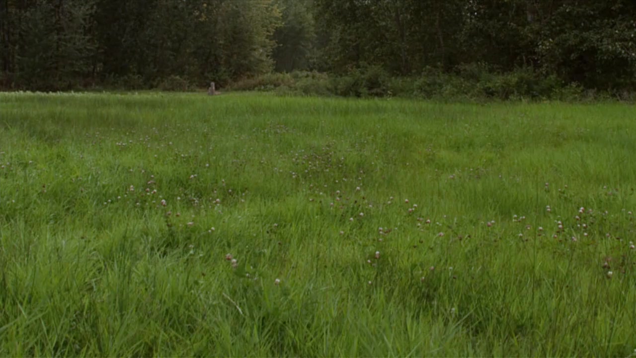 Flicka: Country Pride screenshot 3