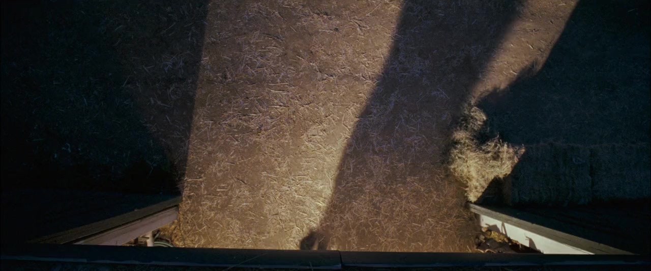 Flicka screenshot 3