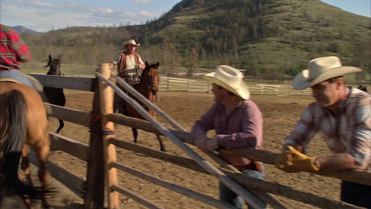 Flicka 2 screenshot 2