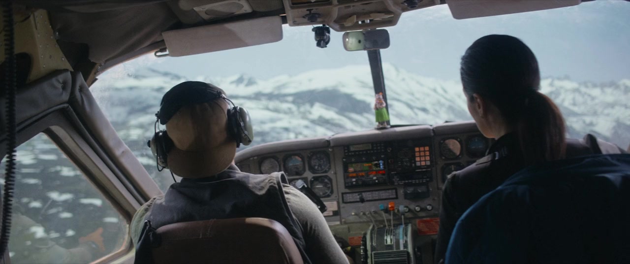 Flight Risk screenshot 3
