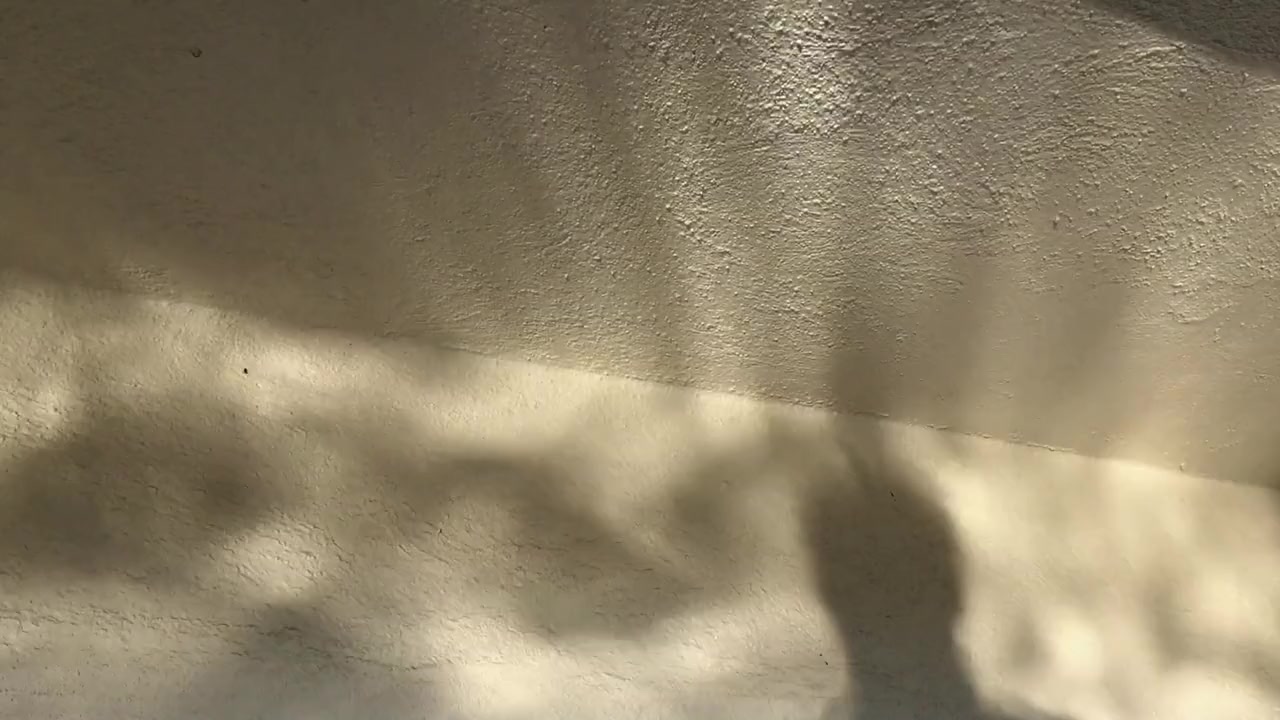 Flipside screenshot 2