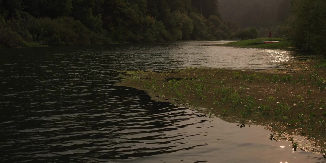 #float screenshot 1