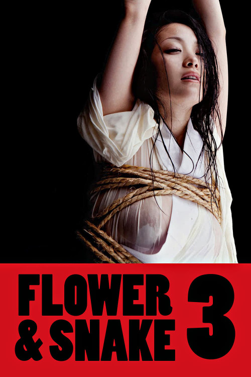 Hana to hebi 3 (2010) poster