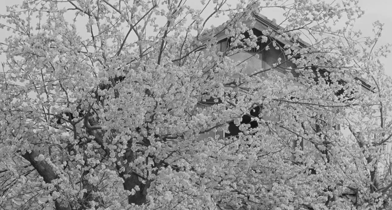 Flowers screenshot 1