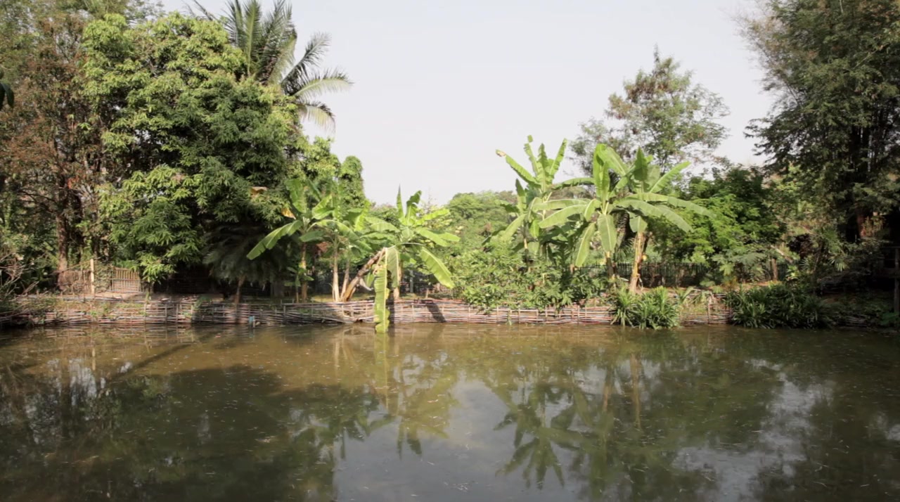 Guang yin de gu shi: Tai wan xin dian ying screenshot 1