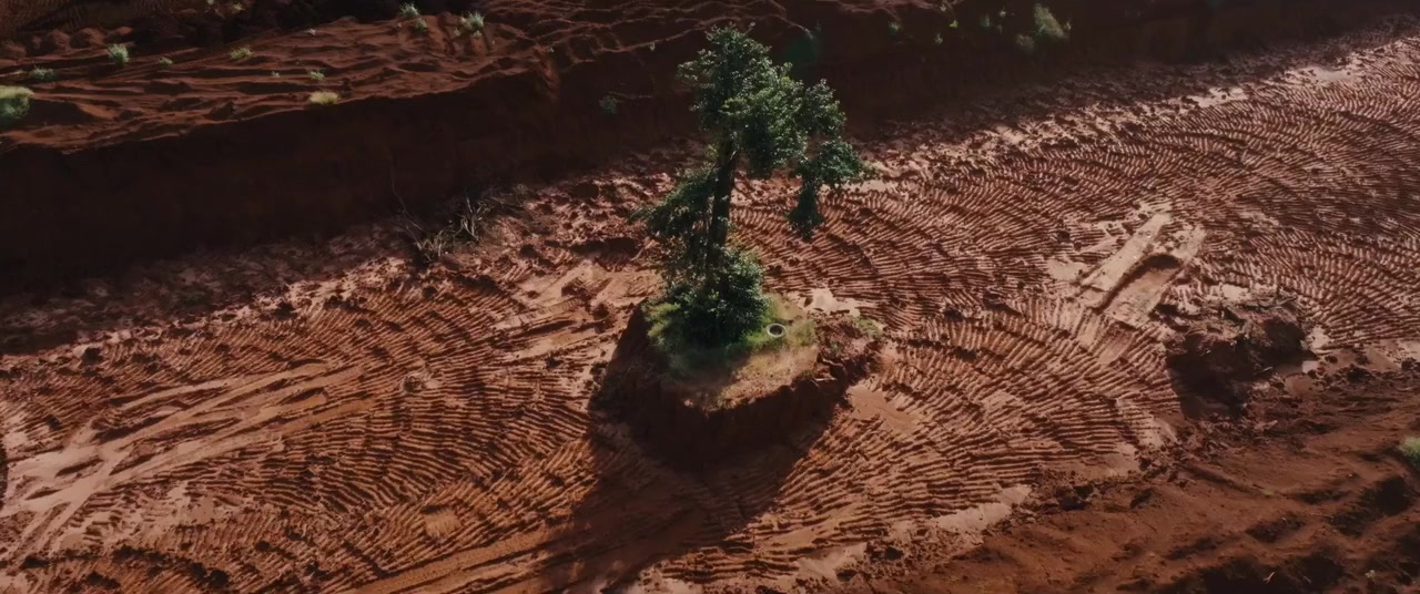 Flowers of the Earth screenshot 1