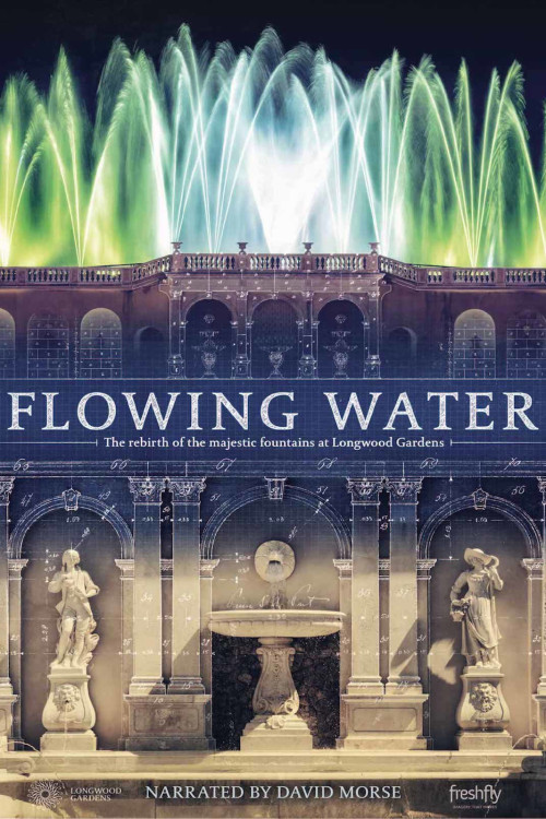 Flowing Water (2017) poster