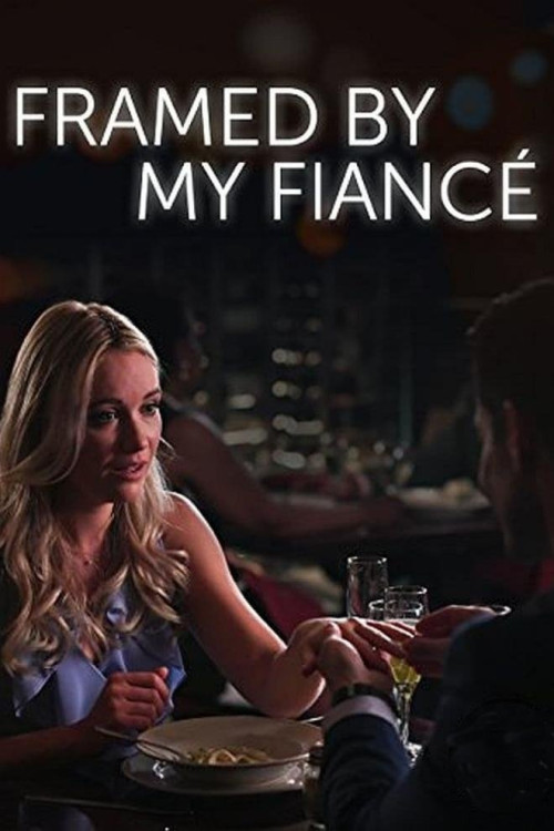 Framed by My Fiancé (2017) poster