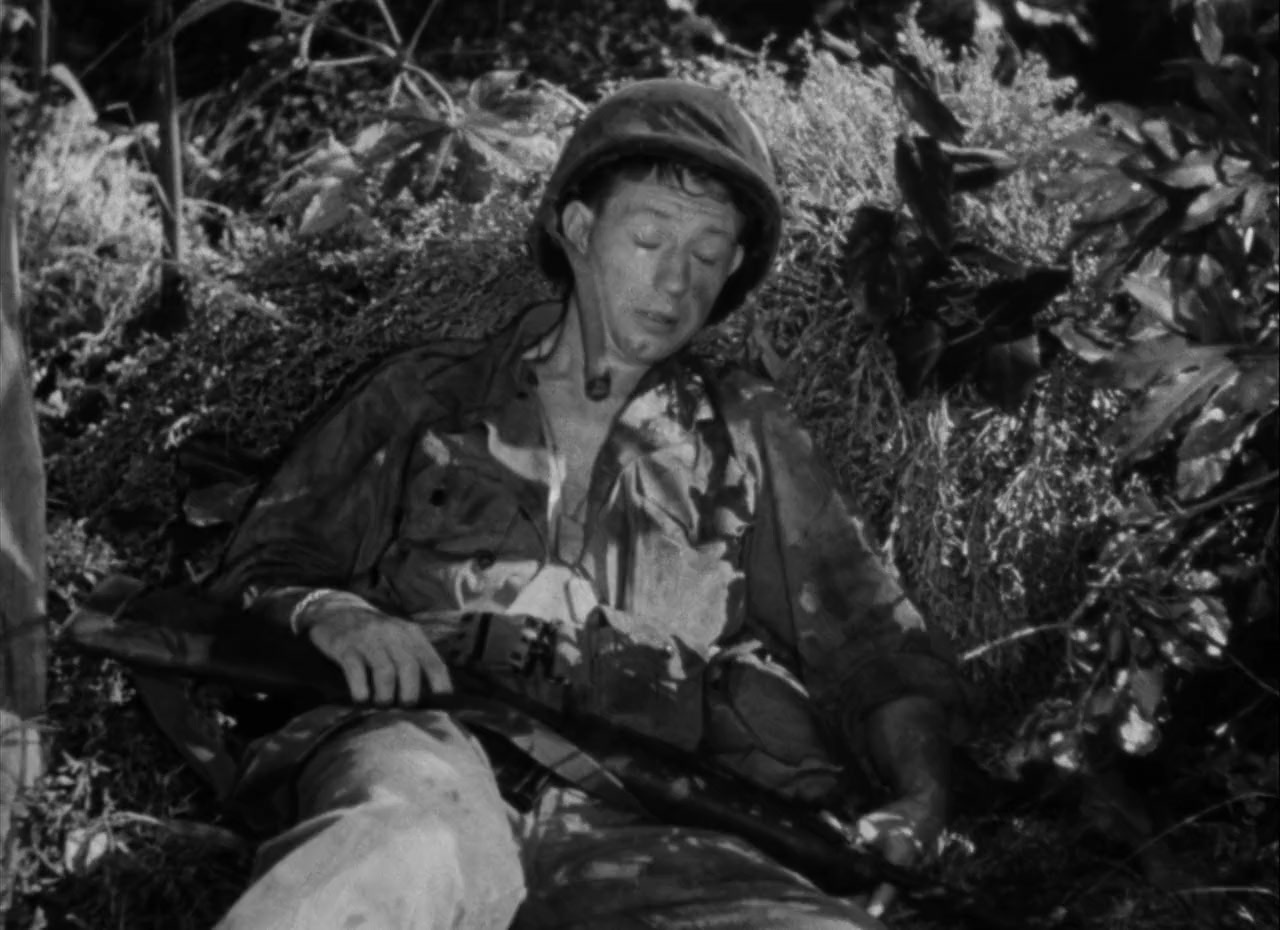 Francis screenshot 3