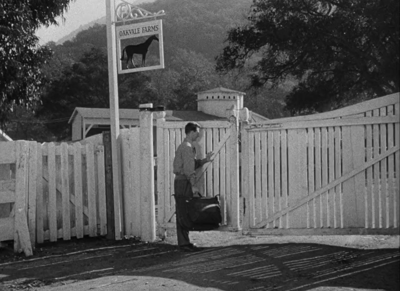 Francis Goes to the Races screenshot 2