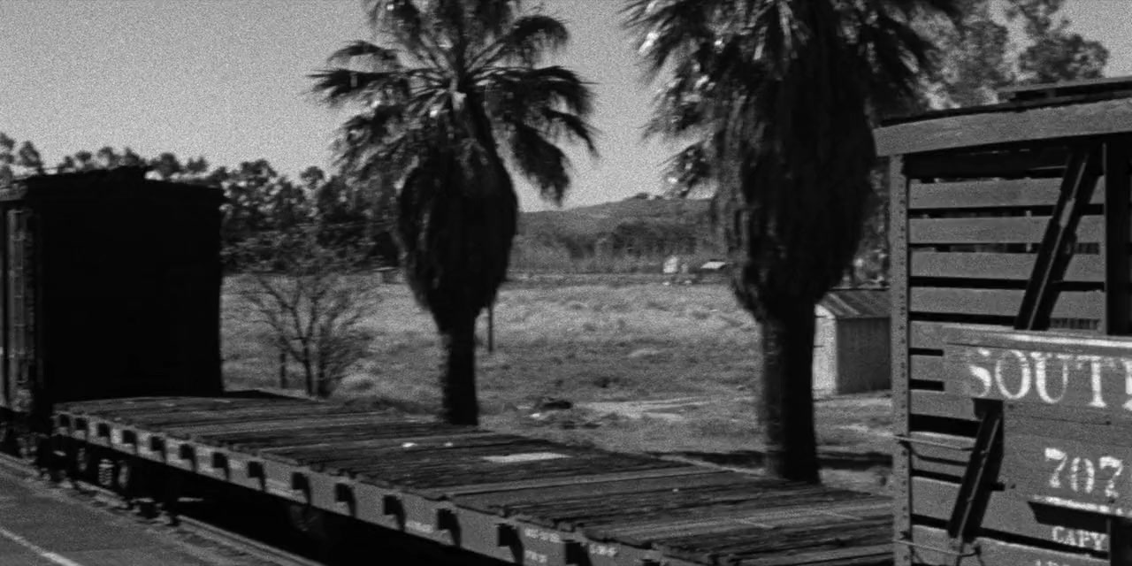 Francis Joins the WACS screenshot 1