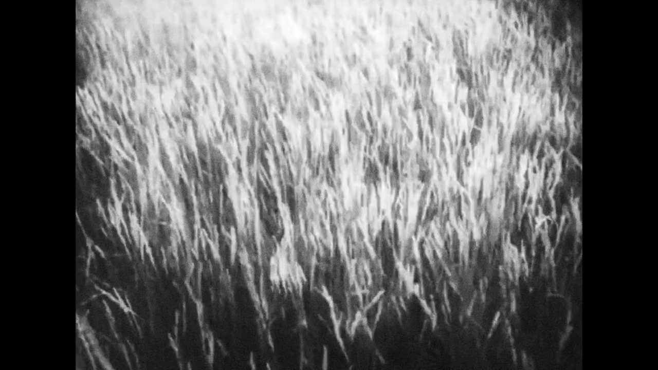 Frank Capra: Mr America screenshot 2