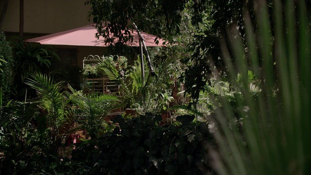 Frank and Cindy screenshot 1