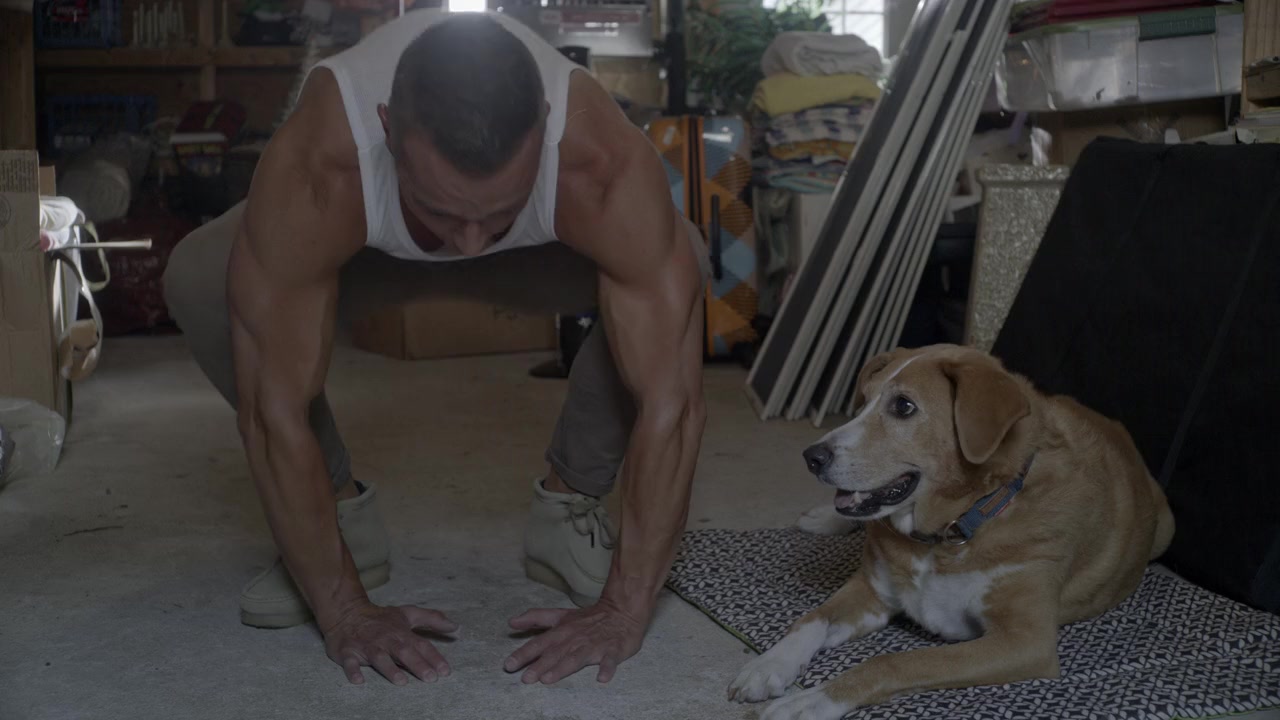 Frankie Meets Jack screenshot 3
