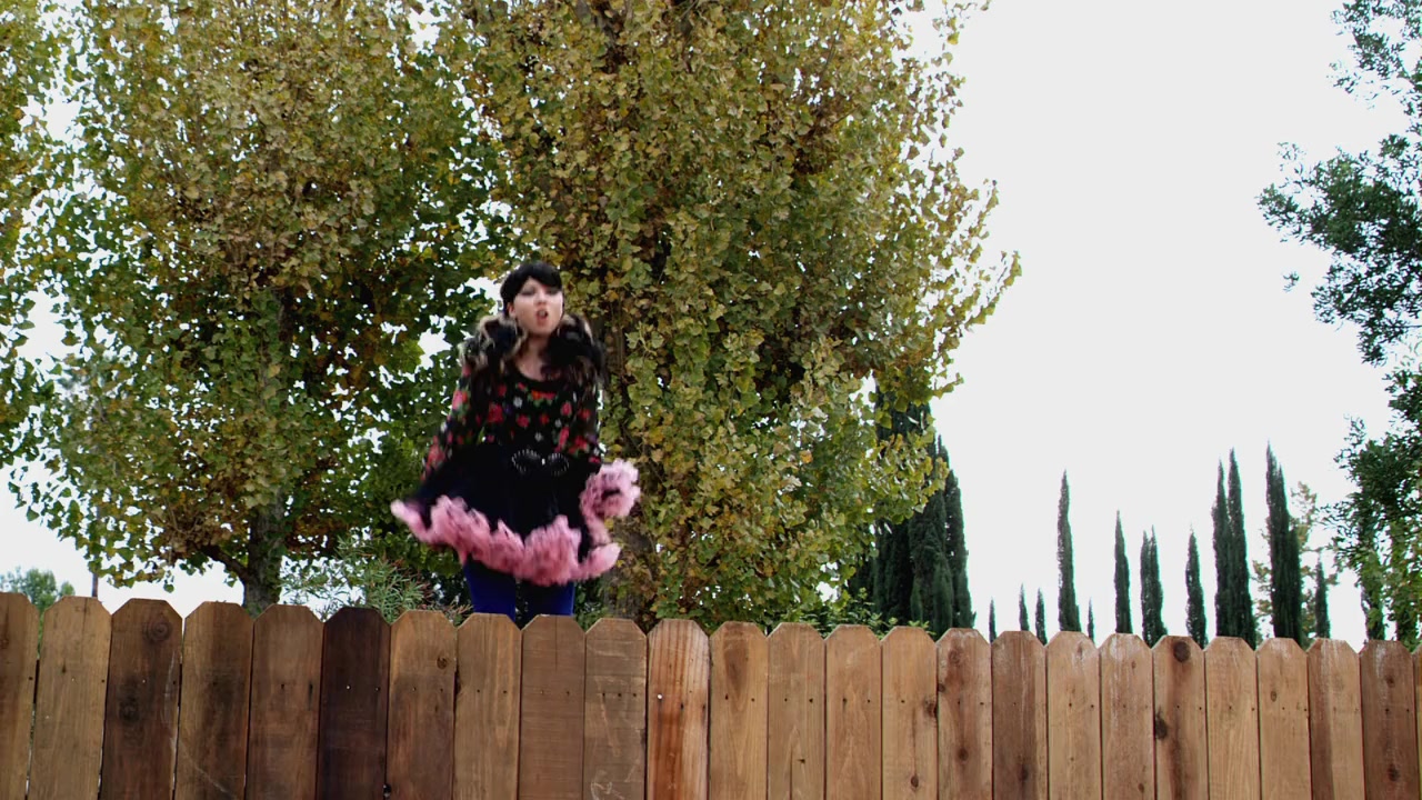 Fred: The Movie screenshot 1