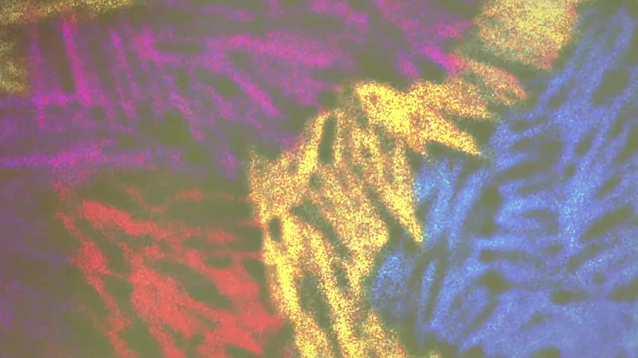 Freddie screenshot 1