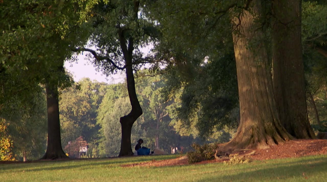 Frederick Law Olmsted: Designing America screenshot 3