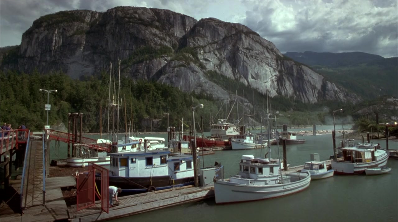 Free Willy 3: The Rescue screenshot 2