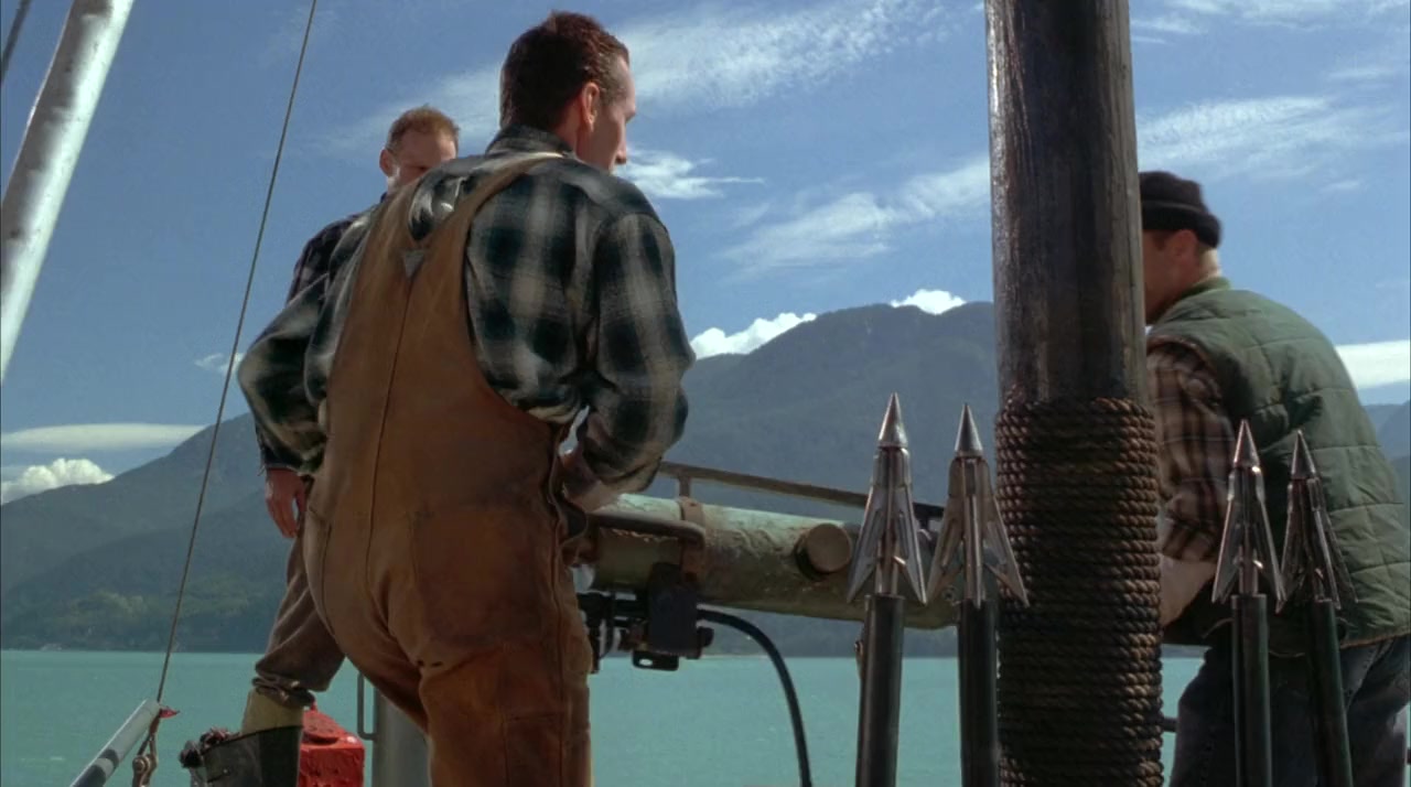 Free Willy 3: The Rescue screenshot 3