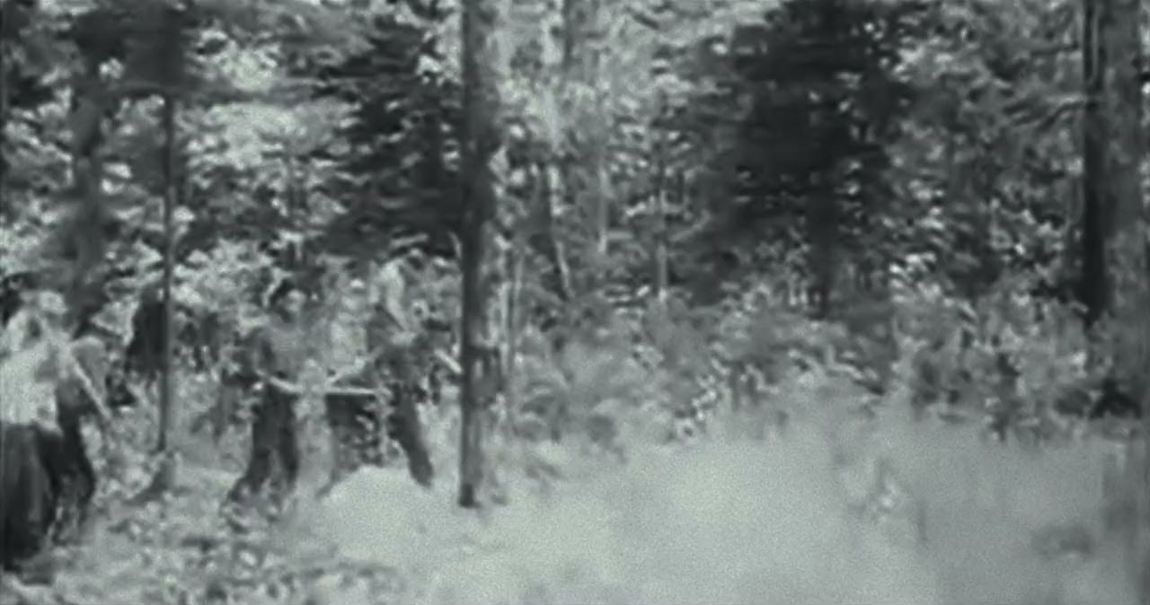 Free Leonard Peltier screenshot 2