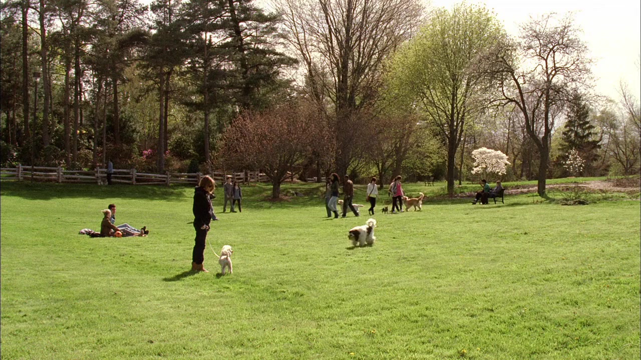 Frenemies screenshot 1