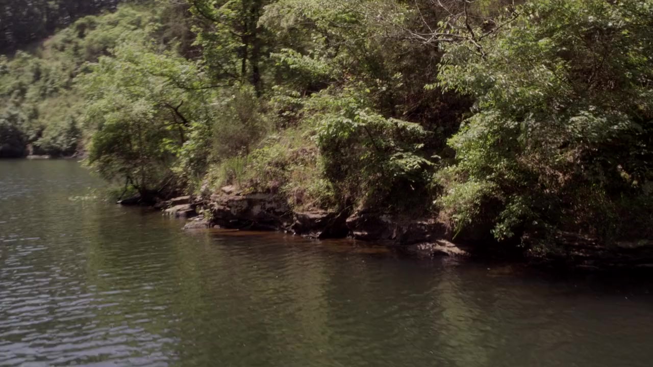 Freshwater screenshot 2