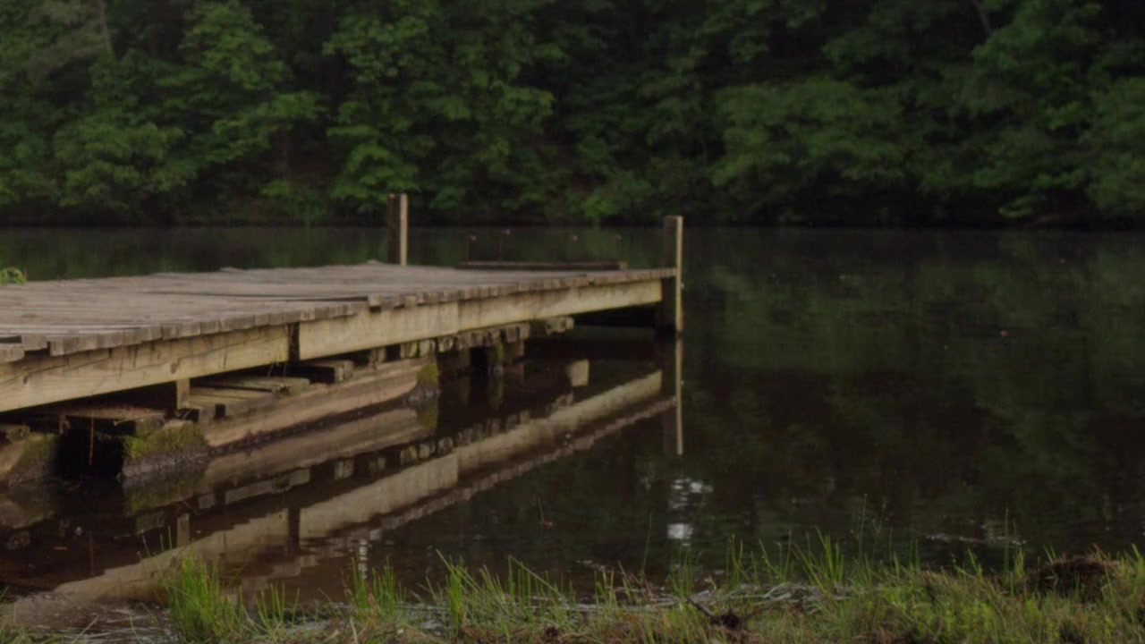 Freshwater screenshot 3