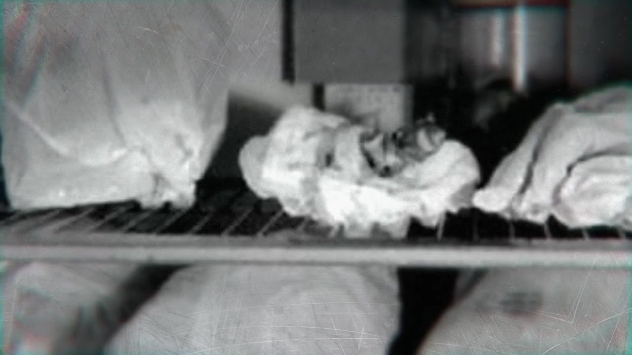 Fresh Meat: Jeffrey Dahmer screenshot 3